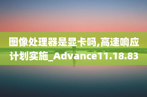 图像处理器是显卡吗,高速响应计划实施_Advance11.18.83