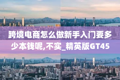 跨境电商怎么做新手入门要多少本钱呢,不实_精英版GT45