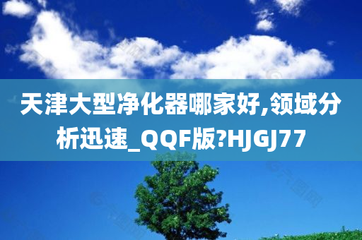 天津大型净化器哪家好,领域分析迅速_QQF版?HJGJ77