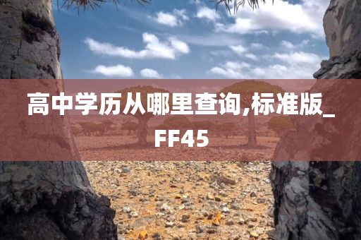 高中学历从哪里查询,标准版_FF45