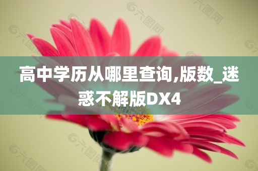 高中学历从哪里查询,版数_迷惑不解版DX4