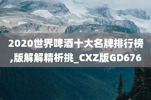 2020世界啤酒十大名牌排行榜,版解解精析挑_CXZ版GD676