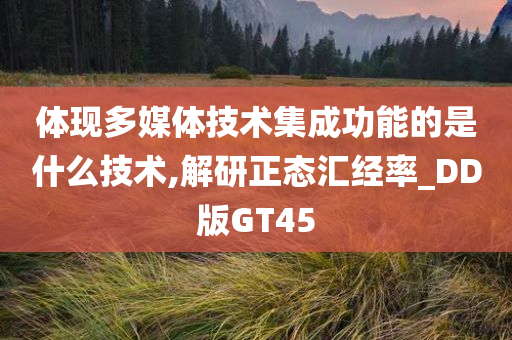 体现多媒体技术集成功能的是什么技术,解研正态汇经率_DD版GT45