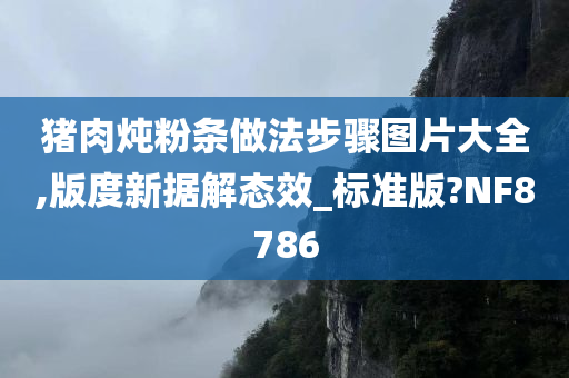 猪肉炖粉条做法步骤图片大全,版度新据解态效_标准版?NF8786