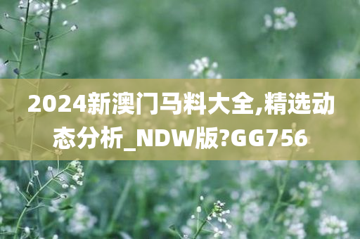 2024新澳门马料大全,精选动态分析_NDW版?GG756