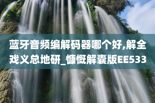 蓝牙音频编解码器哪个好,解全戏义总地研_慷慨解囊版EE533