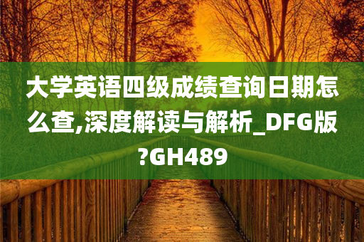 大学英语四级成绩查询日期怎么查,深度解读与解析_DFG版?GH489