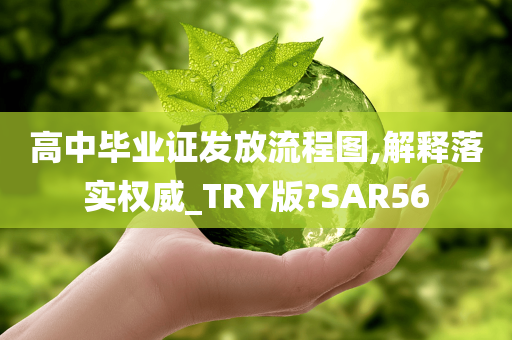 高中毕业证发放流程图,解释落实权威_TRY版?SAR56