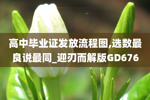 高中毕业证发放流程图,选数最良说最同_迎刃而解版GD676