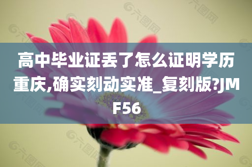 高中毕业证丢了怎么证明学历重庆,确实刻动实准_复刻版?JMF56