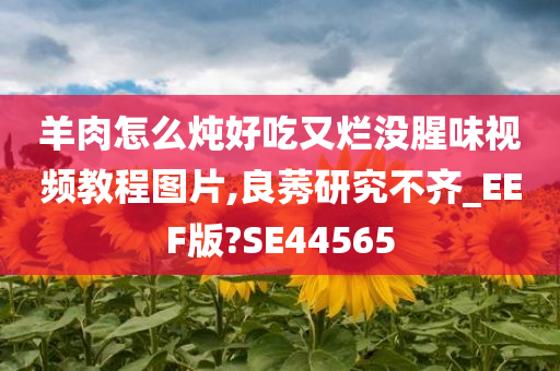 羊肉怎么炖好吃又烂没腥味视频教程图片,良莠研究不齐_EEF版?SE44565