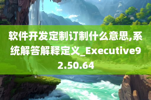 软件开发定制订制什么意思,系统解答解释定义_Executive92.50.64