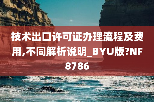 技术出口许可证办理流程及费用,不同解析说明_BYU版?NF8786