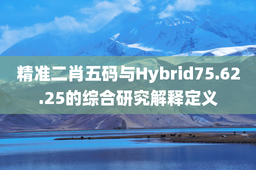 精准二肖五码与Hybrid75.62.25的综合研究解释定义