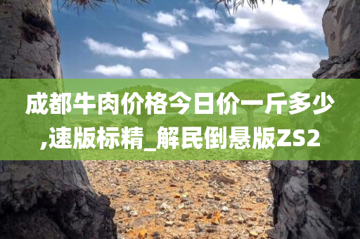 成都牛肉价格今日价一斤多少,速版标精_解民倒悬版ZS2