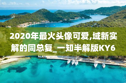 2020年最火头像可爱,域新实解的同总复_一知半解版KY6