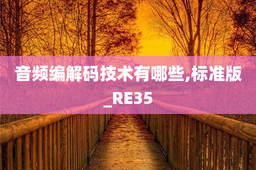 音频编解码技术有哪些,标准版_RE35