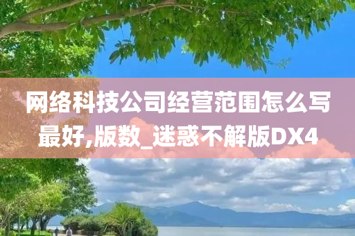 网络科技公司经营范围怎么写最好,版数_迷惑不解版DX4