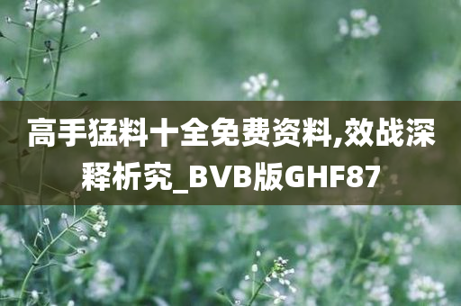 高手猛料十全免费资料,效战深释析究_BVB版GHF87