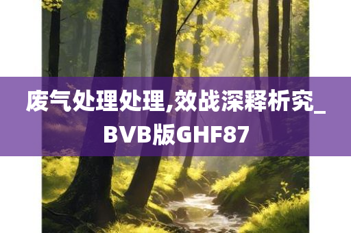 废气处理处理,效战深释析究_BVB版GHF87