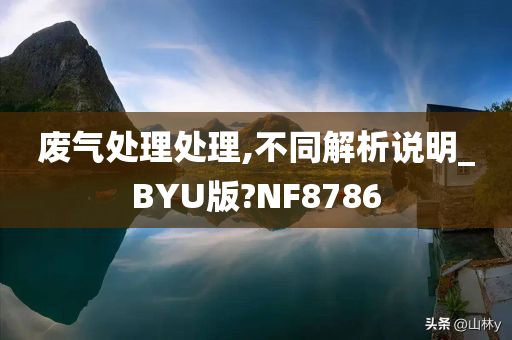 废气处理处理,不同解析说明_BYU版?NF8786