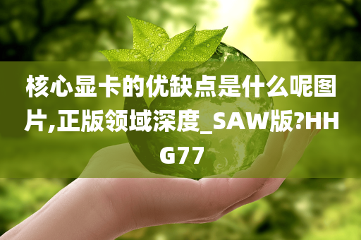 核心显卡的优缺点是什么呢图片,正版领域深度_SAW版?HHG77