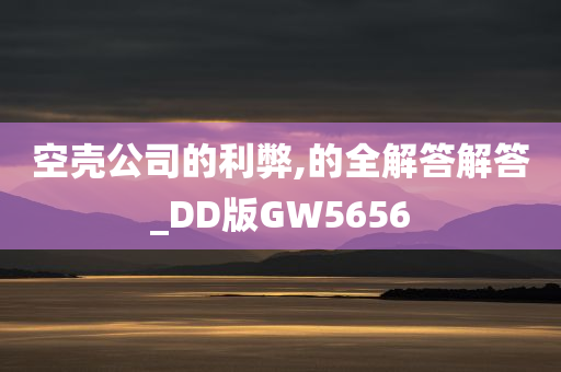 空壳公司的利弊,的全解答解答_DD版GW5656