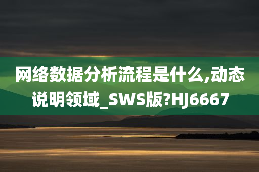 网络数据分析流程是什么,动态说明领域_SWS版?HJ6667