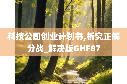 科技公司创业计划书,析究正解分战_解决版GHF87