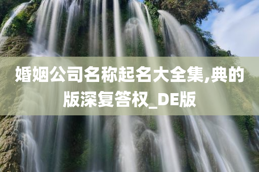 婚姻公司名称起名大全集,典的版深复答权_DE版