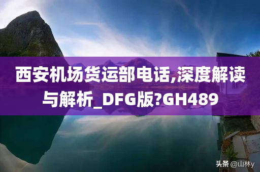 西安机场货运部电话,深度解读与解析_DFG版?GH489