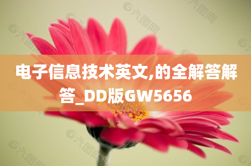 电子信息技术英文,的全解答解答_DD版GW5656