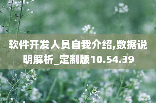 软件开发人员自我介绍,数据说明解析_定制版10.54.39