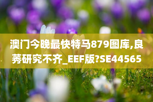 澳门今晚最快特马879图库,良莠研究不齐_EEF版?SE44565