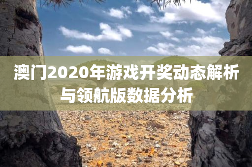 澳门2020年游戏开奖动态解析与领航版数据分析