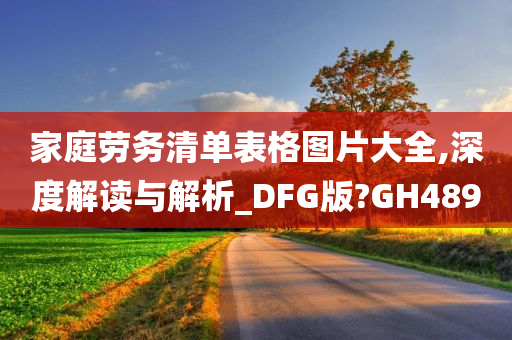 家庭劳务清单表格图片大全,深度解读与解析_DFG版?GH489