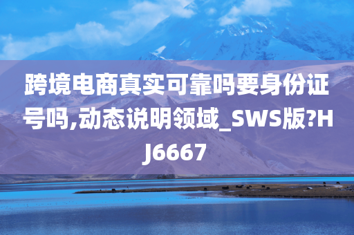 跨境电商真实可靠吗要身份证号吗,动态说明领域_SWS版?HJ6667