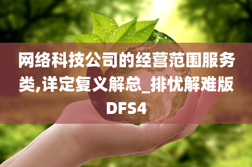 网络科技公司的经营范围服务类,详定复义解总_排忧解难版DFS4