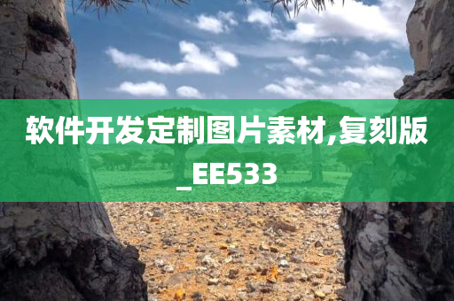 软件开发定制图片素材,复刻版_EE533