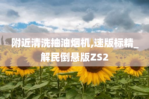 附近清洗抽油烟机,速版标精_解民倒悬版ZS2