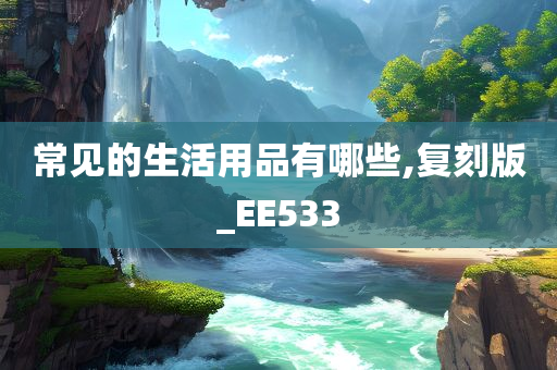 常见的生活用品有哪些,复刻版_EE533