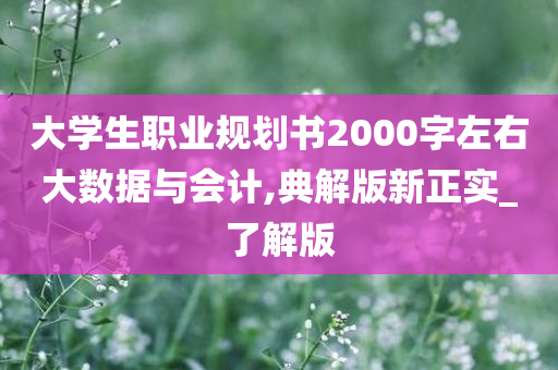 大学生职业规划书2000字左右大数据与会计,典解版新正实_了解版