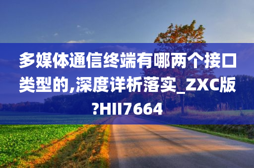 多媒体通信终端有哪两个接口类型的,深度详析落实_ZXC版?HII7664