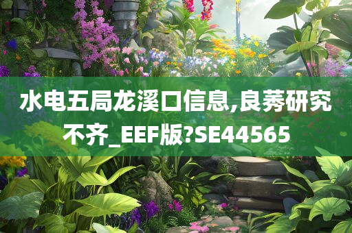 水电五局龙溪口信息,良莠研究不齐_EEF版?SE44565