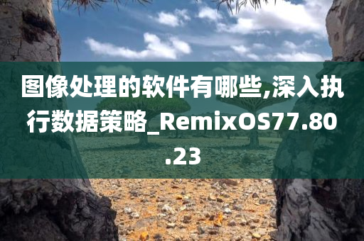 图像处理的软件有哪些,深入执行数据策略_RemixOS77.80.23