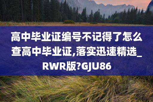 高中毕业证编号不记得了怎么查高中毕业证,落实迅速精选_RWR版?GJU86