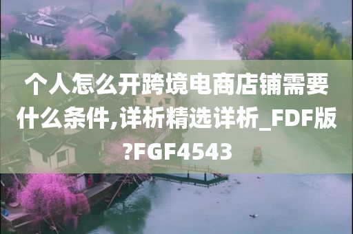 个人怎么开跨境电商店铺需要什么条件,详析精选详析_FDF版?FGF4543