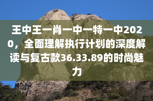 王中王一肖一中一特一中2020，全面理解执行计划的深度解读与复古款36.33.89的时尚魅力