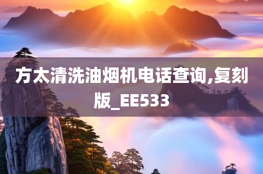 方太清洗油烟机电话查询,复刻版_EE533