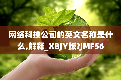 网络科技公司的英文名称是什么,解释_XBJY版?JMF56